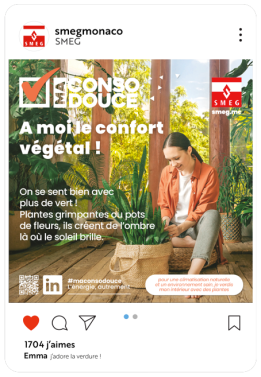 Image d'encart